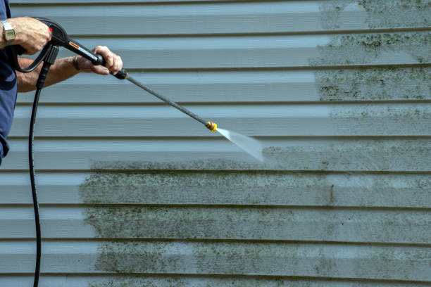 Best Deck Cleaning Services  in Pine Bluffs, WY